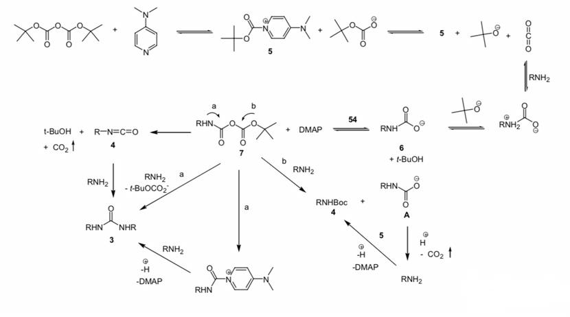 boc2o/dmap与amines和alcohols的副反应