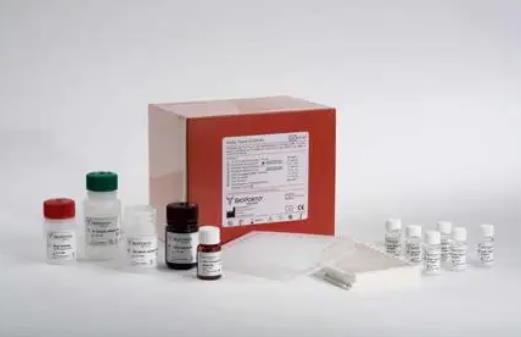 Aif Elisa Kit