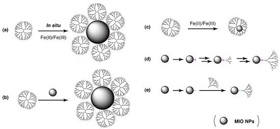 Figure 2. Schematic illustration of the formation of dendrimer-based magnetic iron oxide nanoparticles.png
