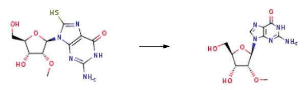 2'-O-Methylguanosine
