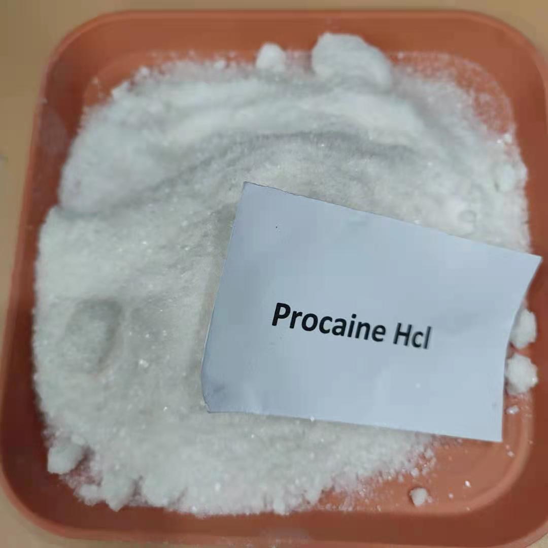 procaine hcl Procaine Hydrochloride