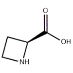 (S)-(-)-2-Azetidinecarboxylic acid pictures
