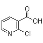 2-Chloronicotinic acid pictures