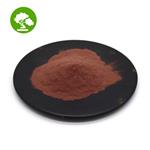 Corydalis yanhusuo extract Tetrahydropalmatine powder pictures