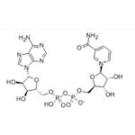 53-84-9 β-Nicotinamide adenine dinucleotide
