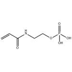 2-Propenamide, N-[2-(phosphonooxy)ethyl]- pictures