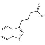 	Indole-3-butyric acid