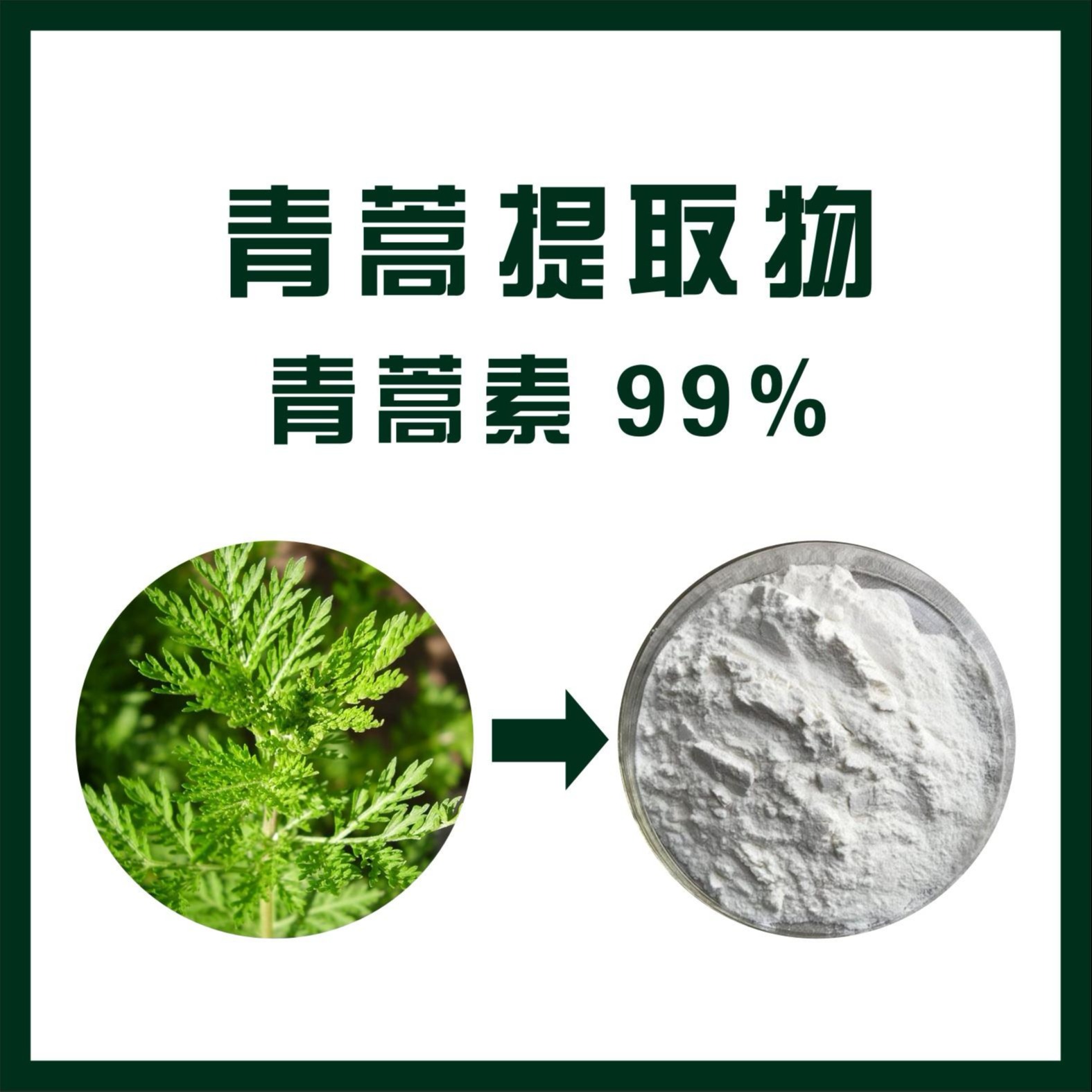 青蒿提取物;青蒿素价格 2000元/元/kg 厂家:陕西新天域生物科技有限