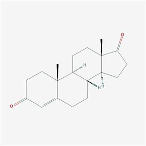 63-05-8)生产厂家_雄烯二酮价格 chemicalbook