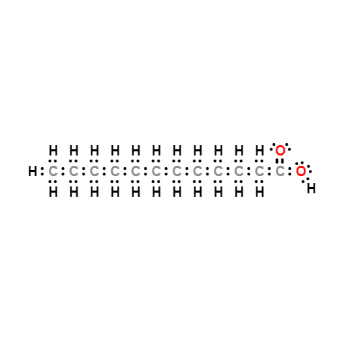 c12h24o2 lewis structure