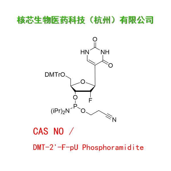 DMT-2'-F-pU Phosphoramidite 工厂大货 产品图片