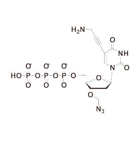 5-Propargylamino-3′-Azidomethyl-dUTP 产品图片