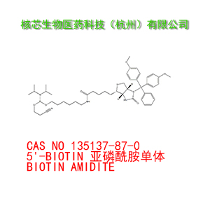 5'-BIOTIN 亚磷酰胺单体 GMP Grade 产品图片