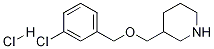 3-(3-氯苄氧甲基)-哌啶盐酸盐,1185296-31-4,结构式
