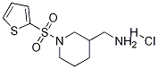 C-[1-(Thiophene-2-sulfonyl)-piperidin-3-yl]-methylamine hydrochloride|C-[1-(噻吩-2-磺酰基)-哌啶-3-基]甲胺盐酸盐