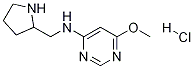 (6-Methoxy-pyriMidin-4-yl)-pyrrolidin-2-ylMethyl-aMine hydrochloride Structure