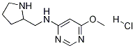 (6-Methoxy-pyriMidin-4-yl)-pyrrolidin-2-ylMethyl-aMine hydrochloride|(6-甲氧基-嘧啶-4-基)-吡咯烷-2-基甲基-胺盐酸盐