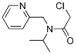 2-Chloro-N-isopropyl-N-pyridin-2-ylMethyl-acetaMide|2-氯-N-异丙基-N-(吡啶-2-基甲基)乙酰胺