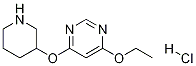4-Ethoxy-6-(piperidin-3-yloxy)-pyriMidine hydrochloride Structure