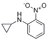 Cyclopropyl-(2-nitro-phenyl)-aMine|