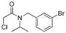 N-(3-BroMo-benzyl)-2-chloro-N-isopropyl-acetaMide Struktur