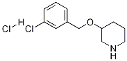 3-(3-氯-苄氧基)-哌啶盐酸盐,1185301-25-0,结构式