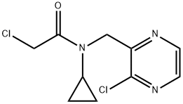2-Chloro-N-(3-chloro-pyrazin-2-ylMethyl)-N-cyclopropyl-acetaMide,1353980-75-2,结构式