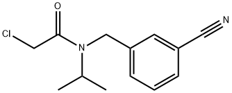 2-Chloro-N-(3-cyano-benzyl)-N-isopropyl-acetaMide 化学構造式