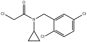 2-Chloro-N-cyclopropyl-N-(2,5-dichloro-benzyl)-acetaMide Struktur