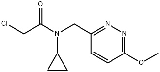 2-Chloro-N-cyclopropyl-N-(6-Methoxy-pyridazin-3-ylMethyl)-acetaMide Struktur