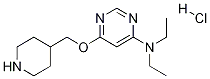 二乙基-[6-(哌啶-4-基甲氧基)-嘧啶-4-基]-胺盐酸盐, 1353981-53-9, 结构式