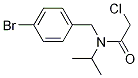 N-(4-BroMo-benzyl)-2-chloro-N-isopropyl-acetaMide,1175897-16-1,结构式