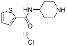 Thiophene-2-carboxylic acid piperidin-4-ylaMide hydrochloride|噻吩-2-羧酸的哌啶-4-基酰胺盐酸盐