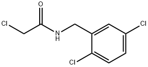 2-Chloro-N-(2,5-dichloro-benzyl)-acetaMide Struktur