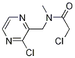 2-Chloro-N-(3-chloro-pyrazin-2-ylMethyl)-N-Methyl-acetaMide|