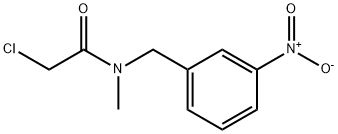 2-Chloro-N-Methyl-N-(3-nitro-benzyl)-acetaMide Struktur
