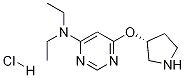 Diethyl-[6-((R)-pyrrolidin-3-yloxy)-pyriMidin-4-yl]-aMine hydrochloride 化学構造式