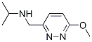 N-((6-甲氧基哒嗪-3-基)甲基)丙烷-2-胺, 1248103-32-3, 结构式