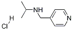 Isopropyl-pyridin-4-ylMethyl-aMine hydrochloride|