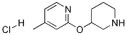 4-Methyl-2-(piperidin-3-yloxy)-pyridine hydrochloride Structure