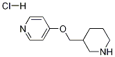 1261231-50-8 4-(哌啶-3-基甲氧基)吡啶盐酸盐