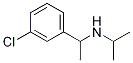 [1-(3-Chloro-phenyl)-ethyl]-isopropyl-aMine,1019598-00-5,结构式