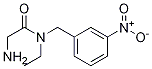 2-AMino-N-ethyl-N-(3-nitro-benzyl)-acetaMide|