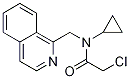 1353960-77-6 2-Chloro-N-cyclopropyl-N-isoquinolin-1-ylMethyl-acetaMide