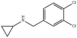 Cyclopropyl-(3,4-dichloro-benzyl)-aMine|N-[(3,4-二氯苯基)甲基]环丙胺