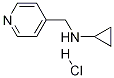 Cyclopropyl-pyridin-4-ylMethyl-aMine hydrochloride Structure