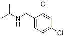(2,4-Dichloro-benzyl)-isopropyl-aMine Structure