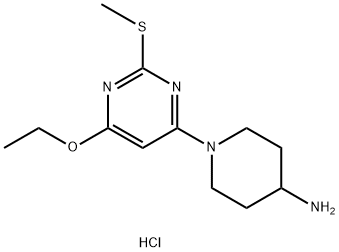 1-(6-Ethoxy-2-Methylsulfanyl-pyriMidin-4-yl)-piperidin-4-ylaMine hydrochloride|1-(6-乙氧基-2-甲硫基-嘧啶-4-基)-哌啶-4-基胺盐酸盐