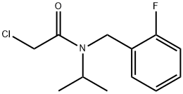 2-Chloro-N-(2-fluoro-benzyl)-N-isopropyl-acetaMide Struktur