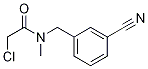2-Chloro-N-(3-cyano-benzyl)-N-Methyl-acetaMide 化学構造式